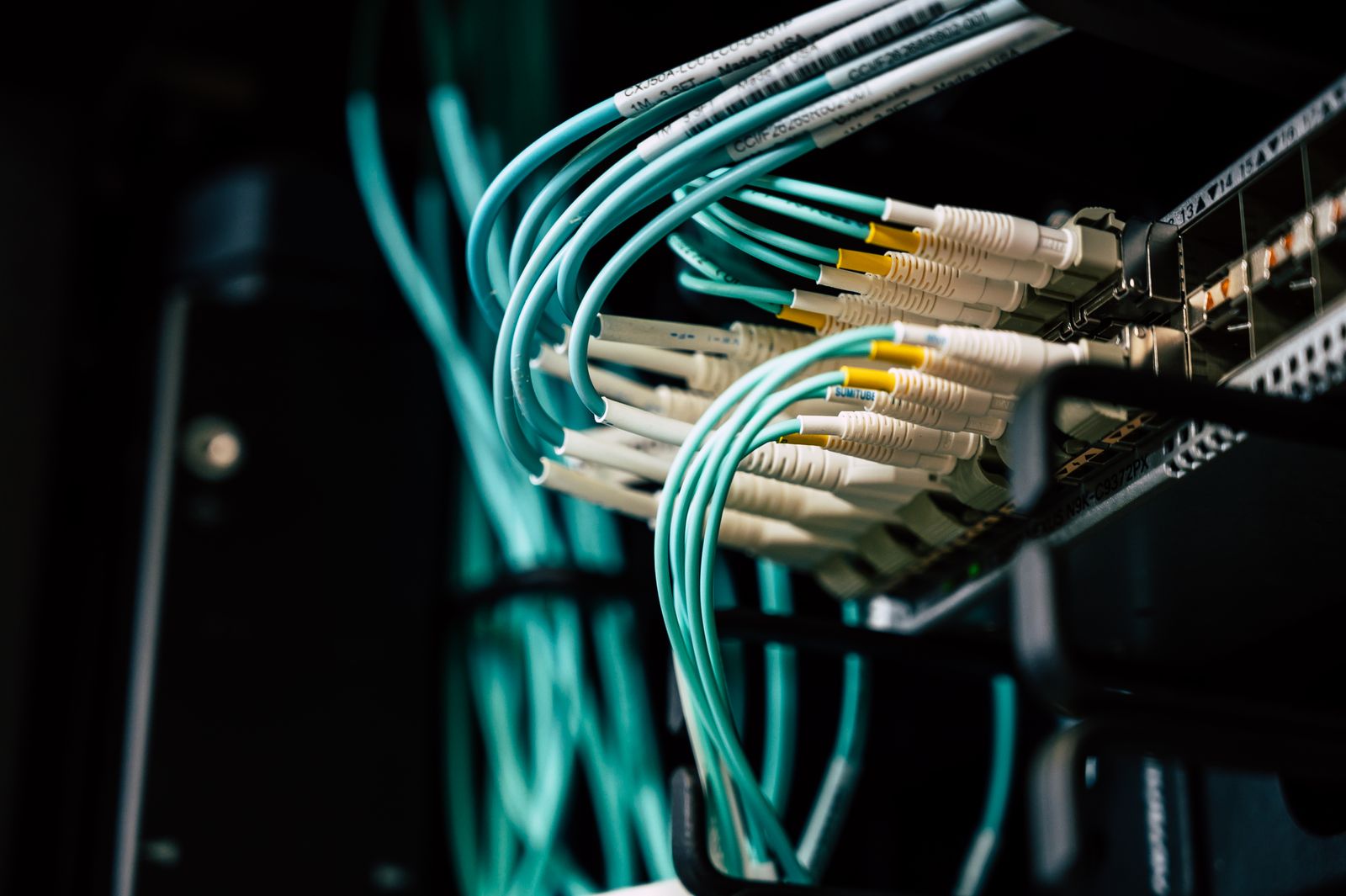 Network cables plugged into a server
